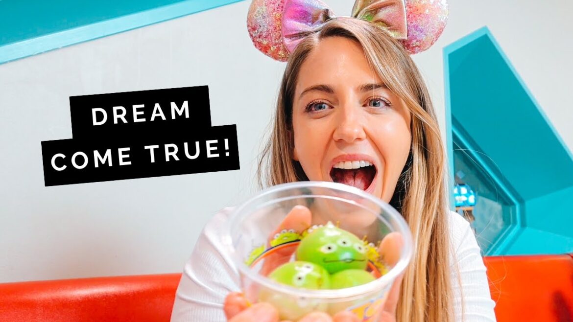 Magical TOKYO Disneyland & Disney Sea day (Amazing first time!)