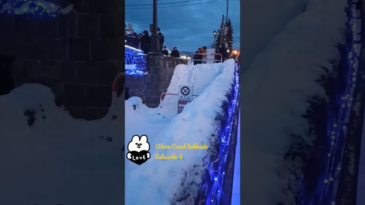 WINTER WONDERLAND🥳🥳 #shorts #short #japan #triple