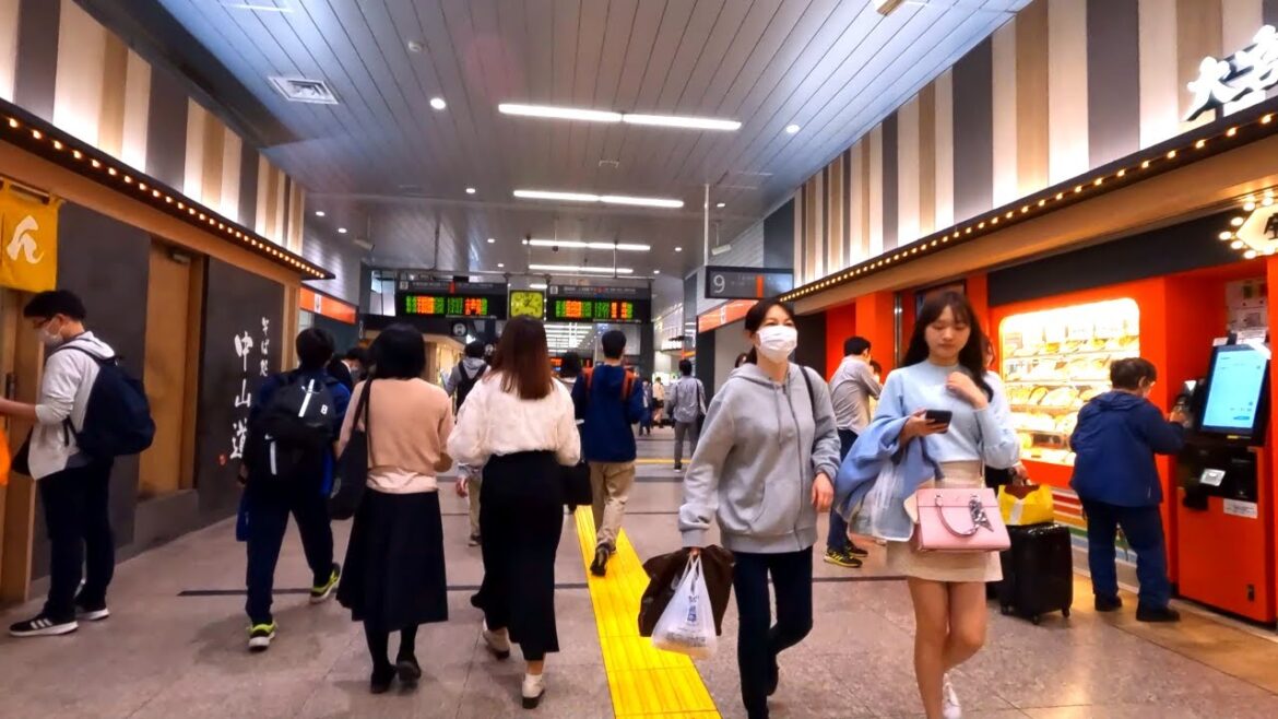 【4K60】休日の大宮駅構内を散歩! 【4K60】休日の大宮駅構内を散歩!