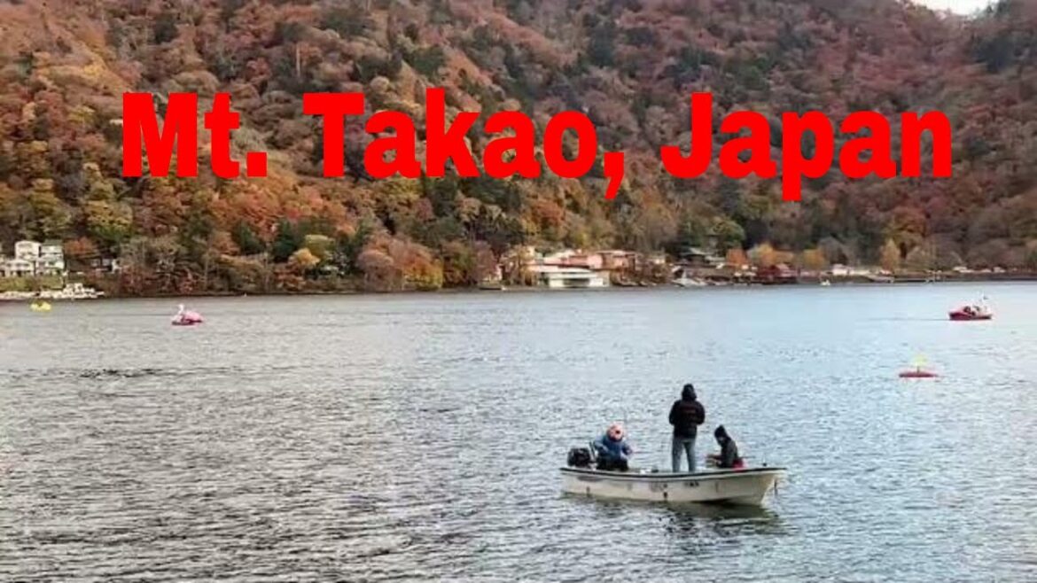 The beautiful autumn color scenery at Mt. Takao, Japan #shorts The beautiful autumn color scenery at Mt. Takao, Japan #shorts