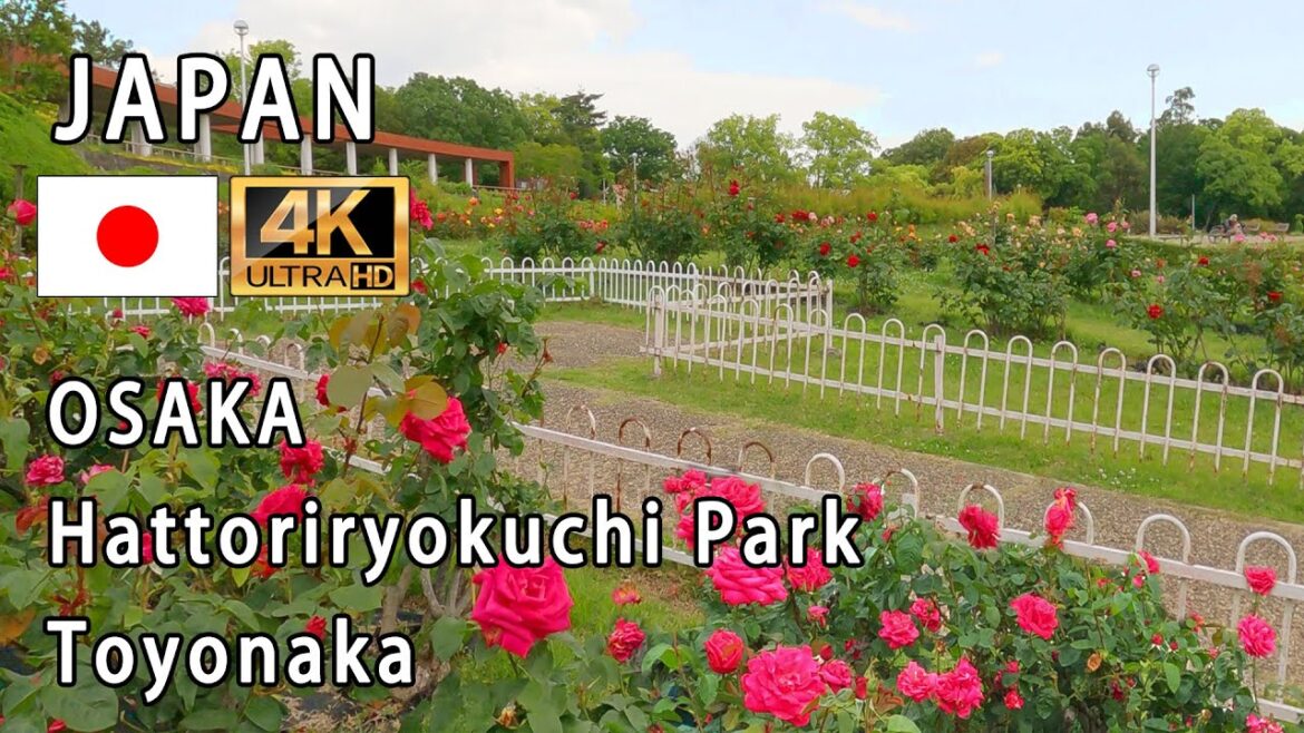 Japan Osaka (Toyonaka Hattoriryokuchi Park)