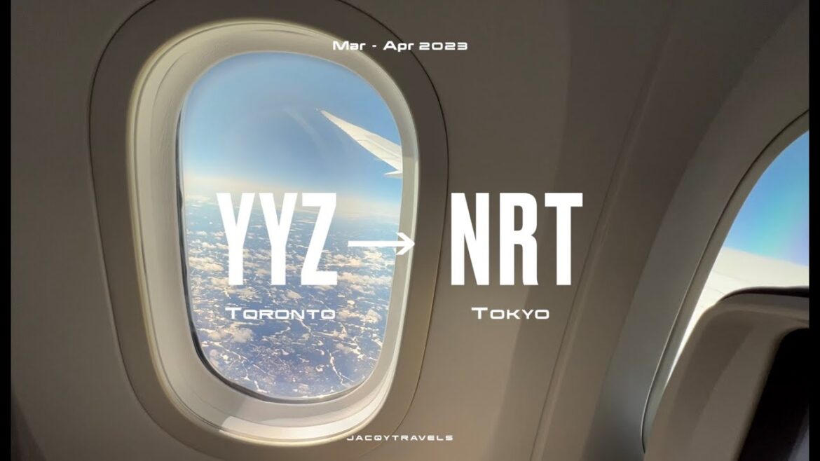 A trip to 🇯🇵 Tokyo & Yokohama | 2023 JAPAN Vlog