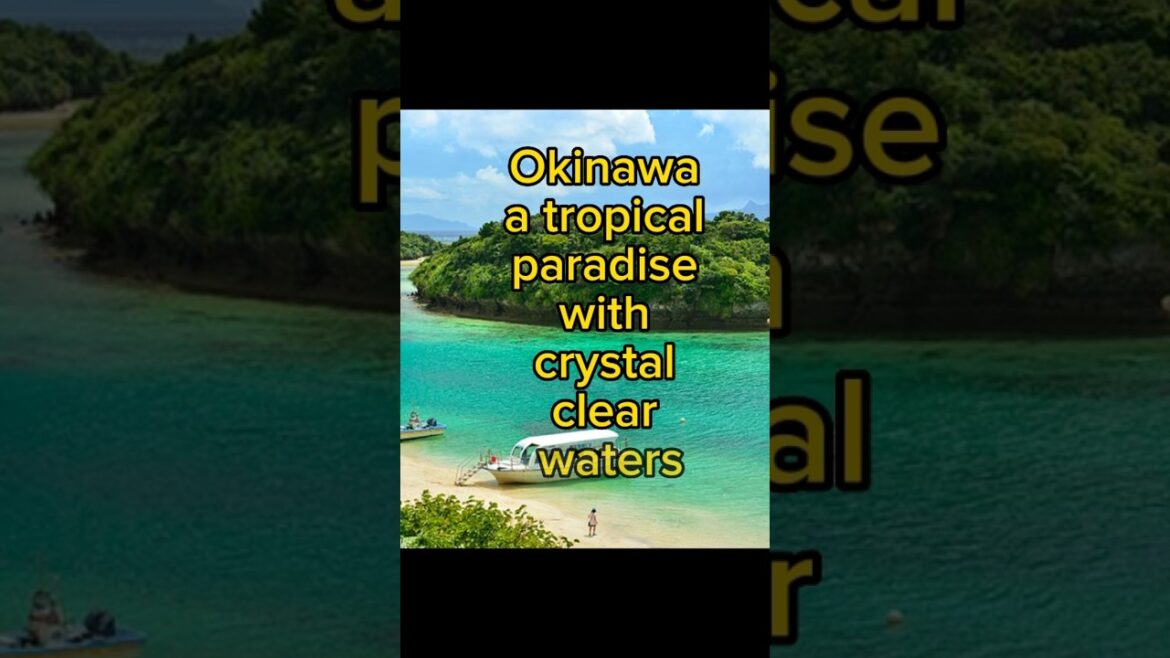 Top 5 Japan place must visit #shorts