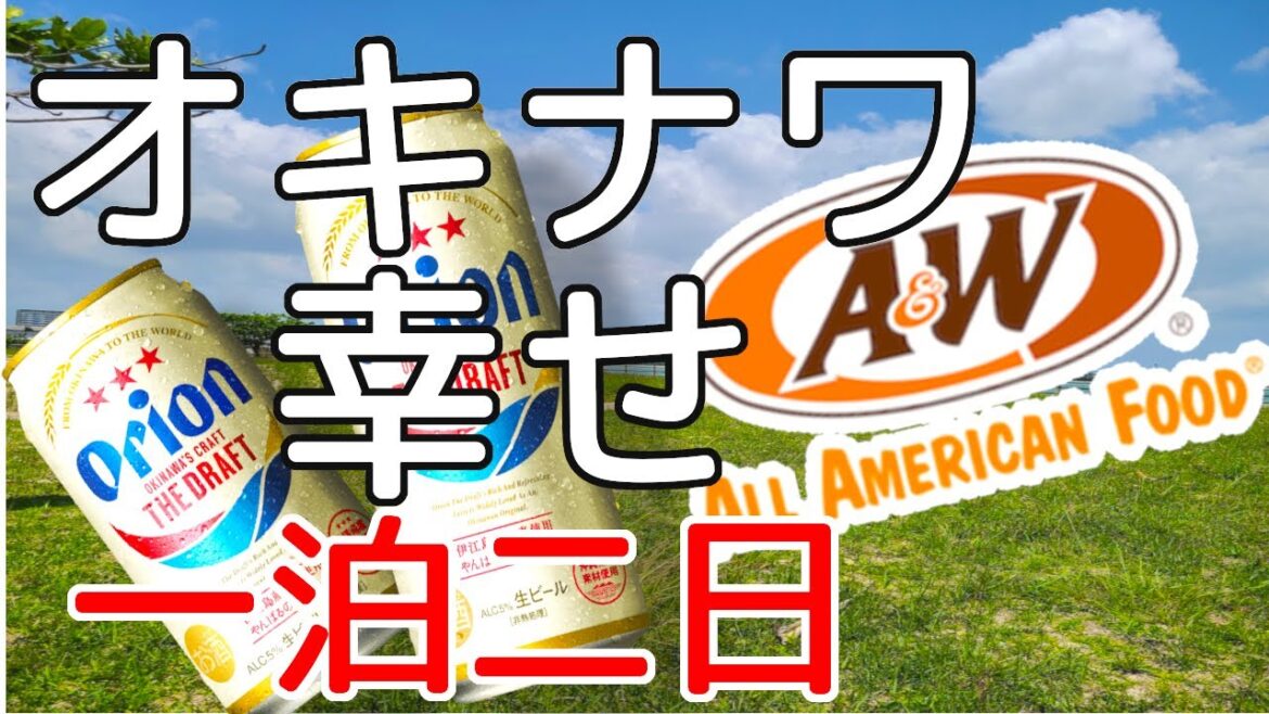 【ひとり旅】沖縄旅行！夜の沖縄国際通り散歩前編【一泊2日】