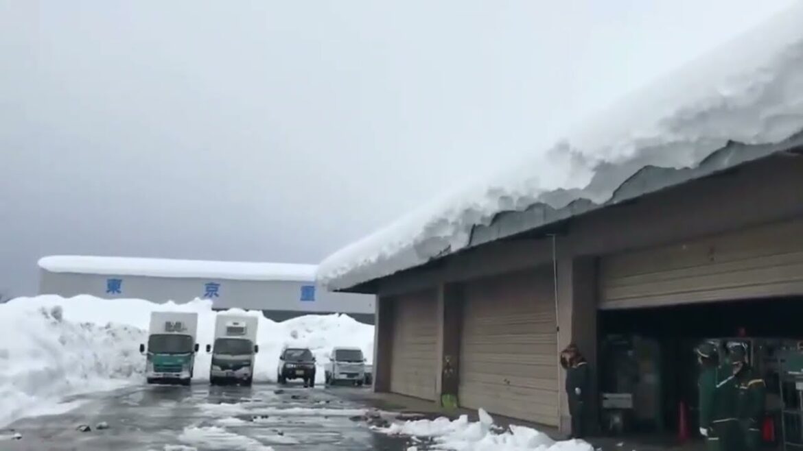 Roof Avalanche Roof Avalanche