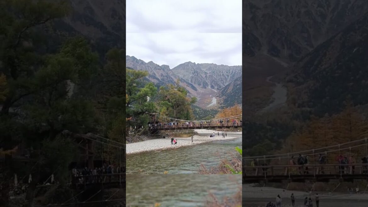 Autumn View Kamikochi #shorts #japan #autumn #vlog #travel #kamikochi #nagano