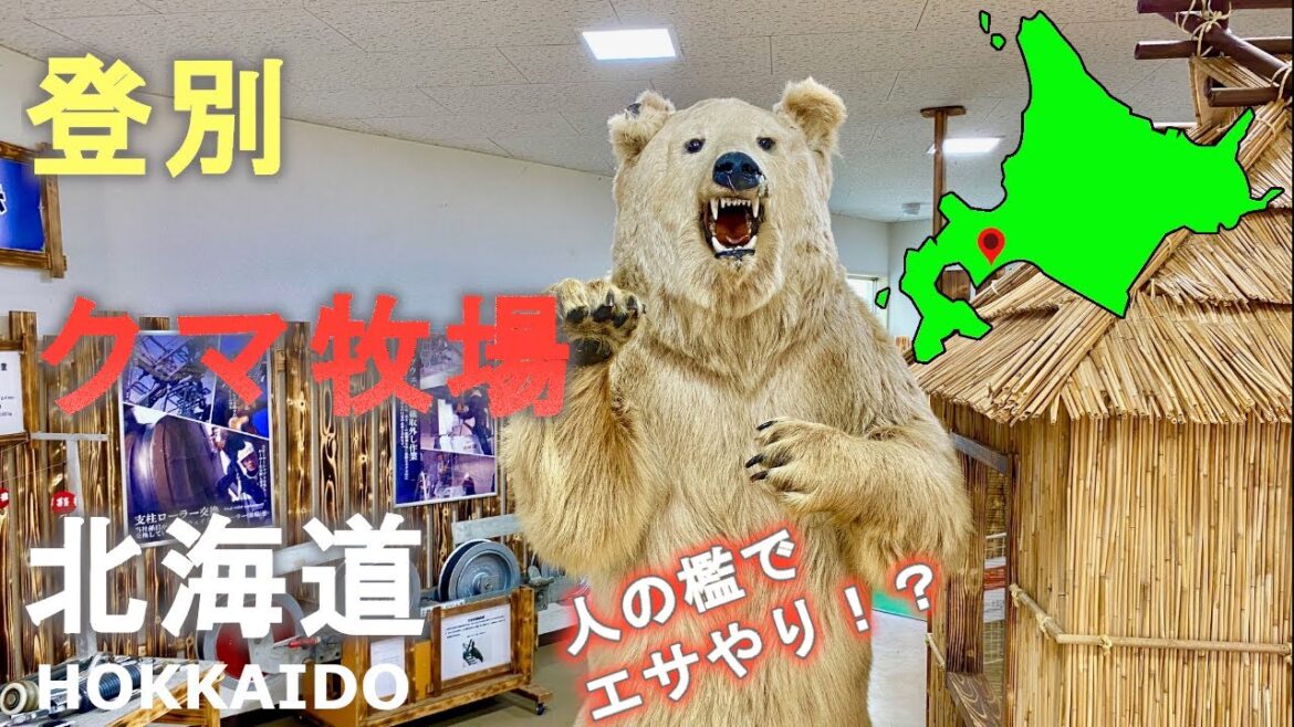 北海道登別のクマ牧場で人の檻でエサやり！？ゴンドラに熊！？Feeding in a human cage at a bear ranch in Noboribetsu, Hokkaido! ?
