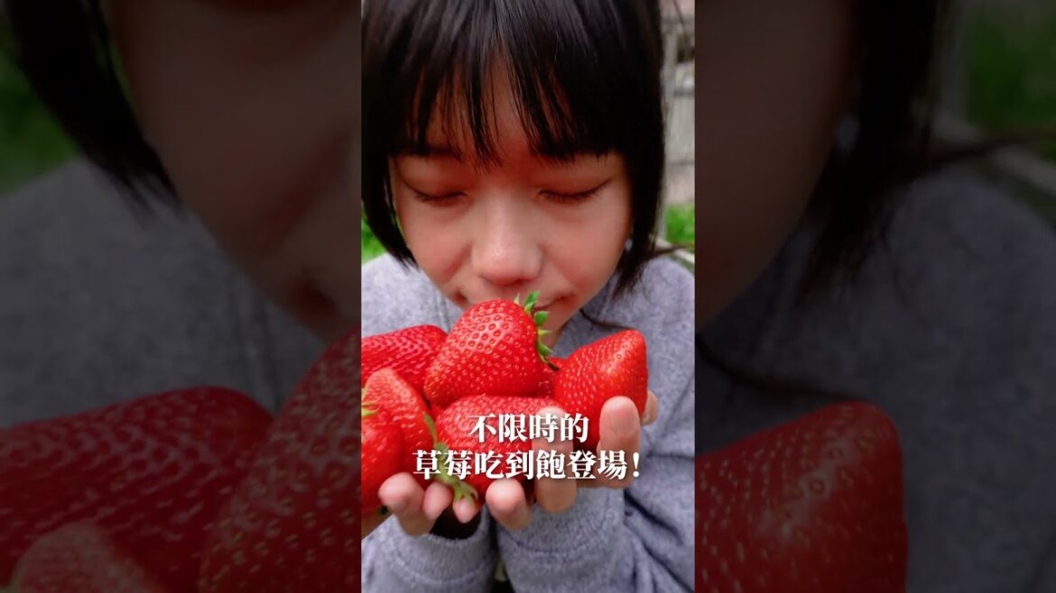 你不知道的名古屋玩法(上集) 日本最好玩的機場😆招財貓的故鄉、空中草莓不限時吃到飽🍓💕！紅味噌超好吃 #shorts #名古屋旅遊 #日本旅遊