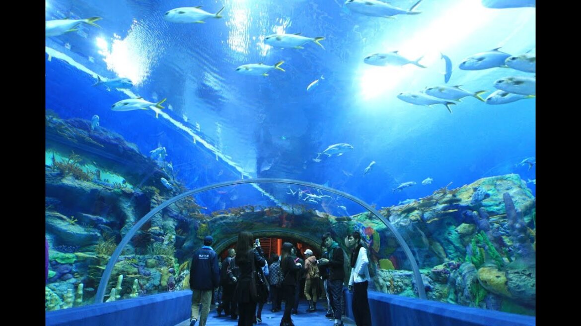 10 Best Aquariums In The World