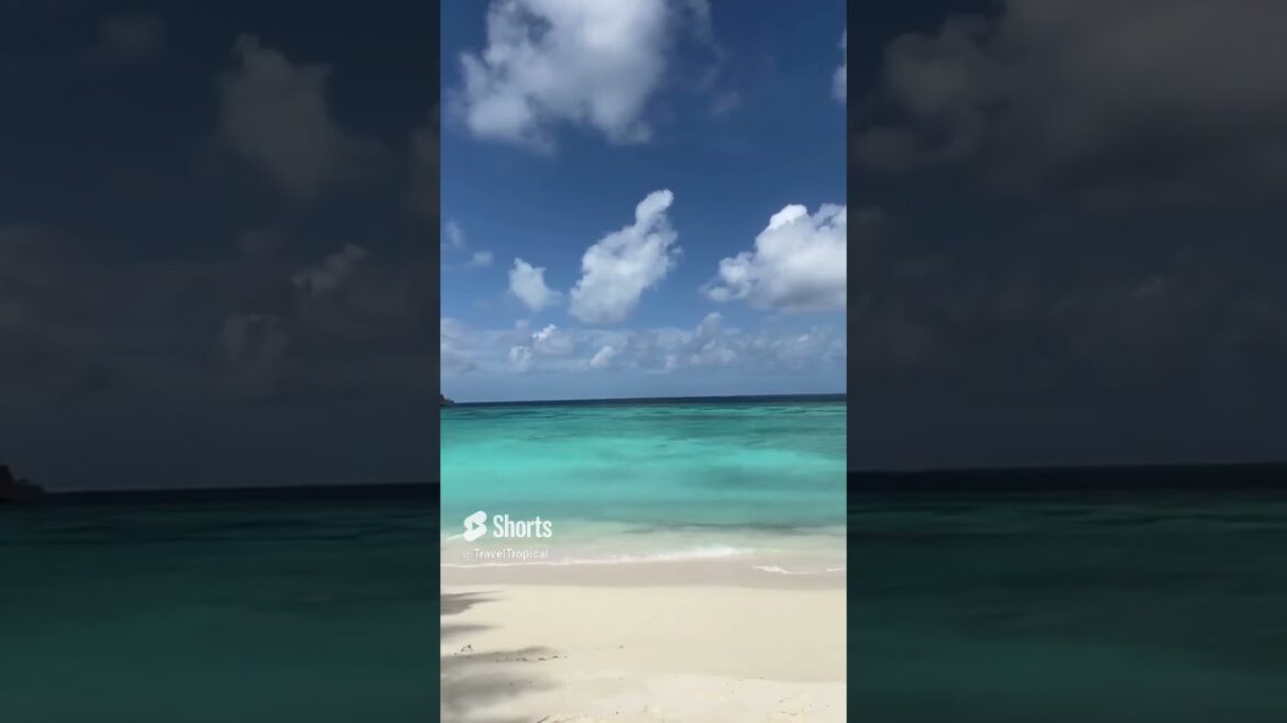 Uncovering the Hottest Travel Spots in Asia! Uncovering the Hottest Travel Spots in Asia!