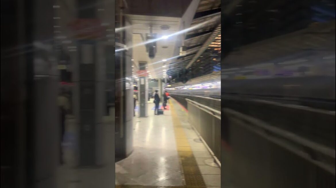 Shinkansen Family at Tokyo Station