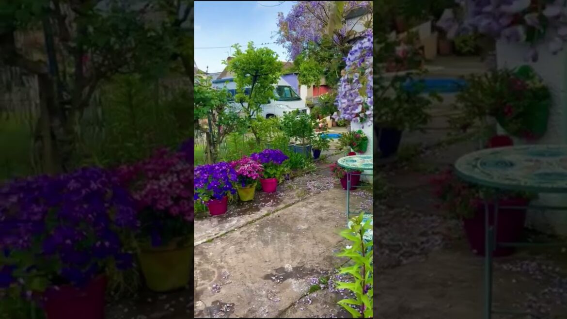 Beautiful Garden #Scotland