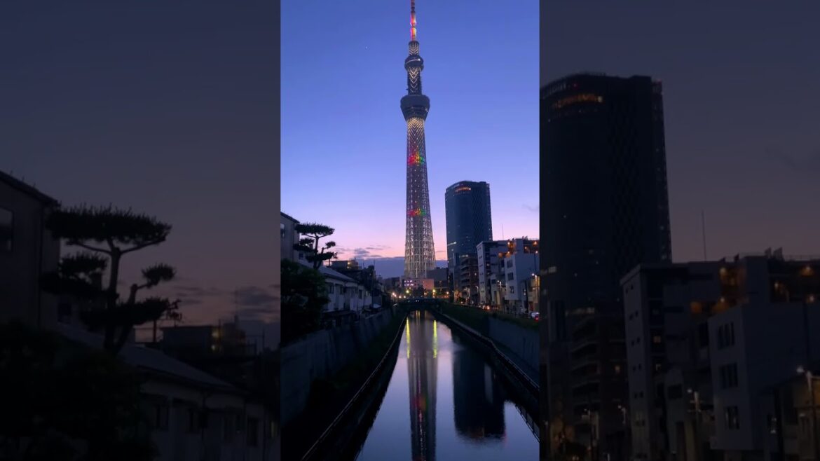 Night Trip to Tokyo #shorts #travelshorts #japan #tokyo #tokyocityview Night Trip to Tokyo #shorts #travelshorts #japan #tokyo #tokyocityview
