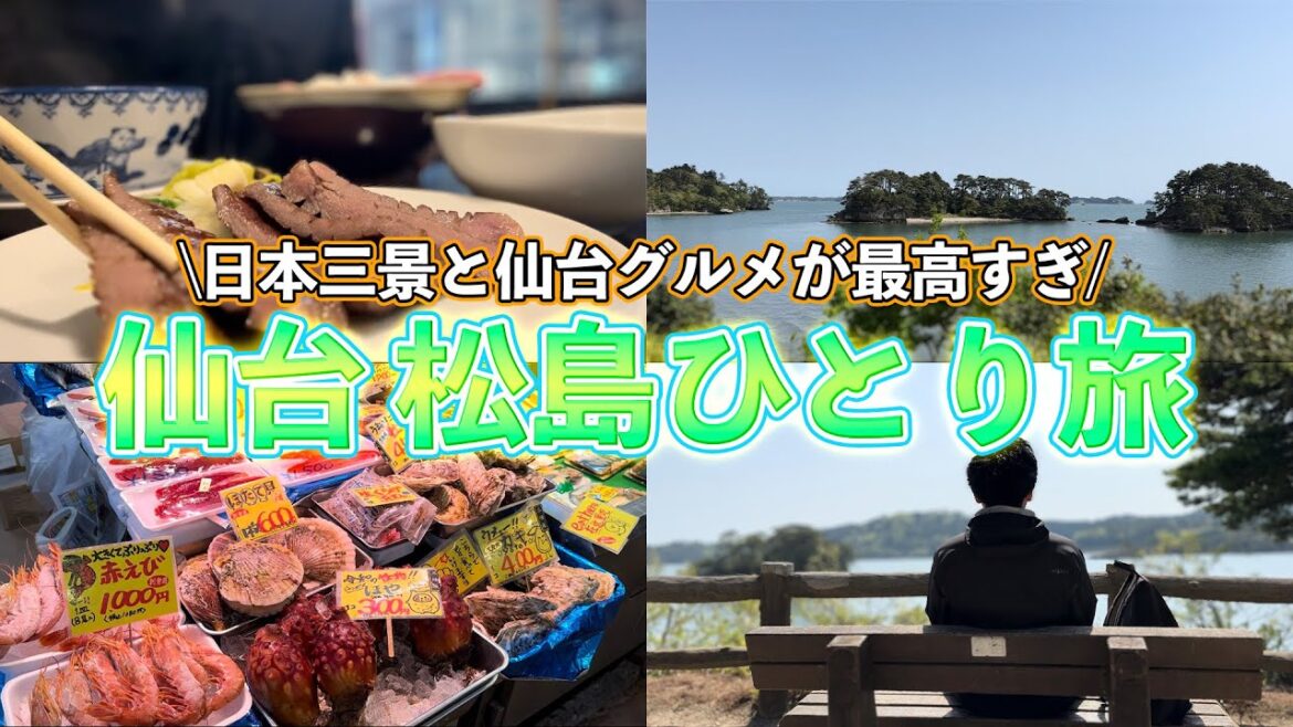 【仙台ひとり旅】日本三景の絶景と仙台グルメが美味すぎて、気づいたらデブ活して最高すぎた