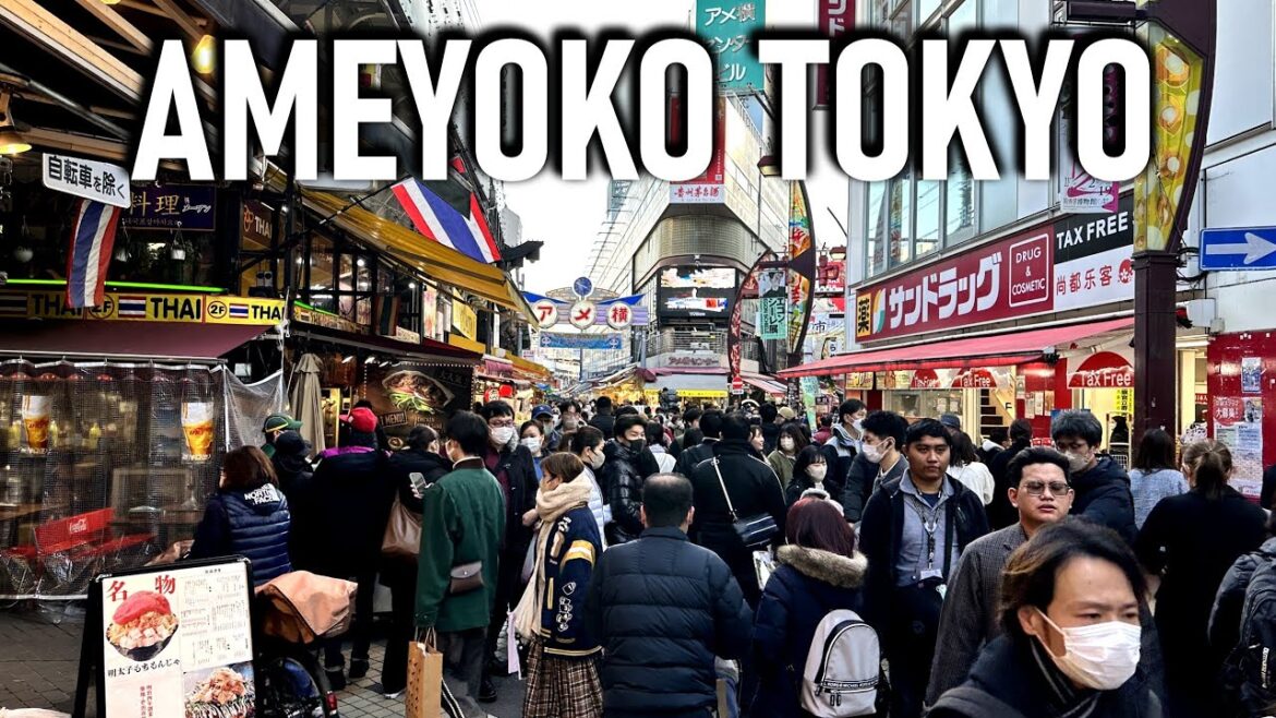 Ameyoko Shopping Street Tokyo (Japan 2023 Part 29) 上野アメ横商店街