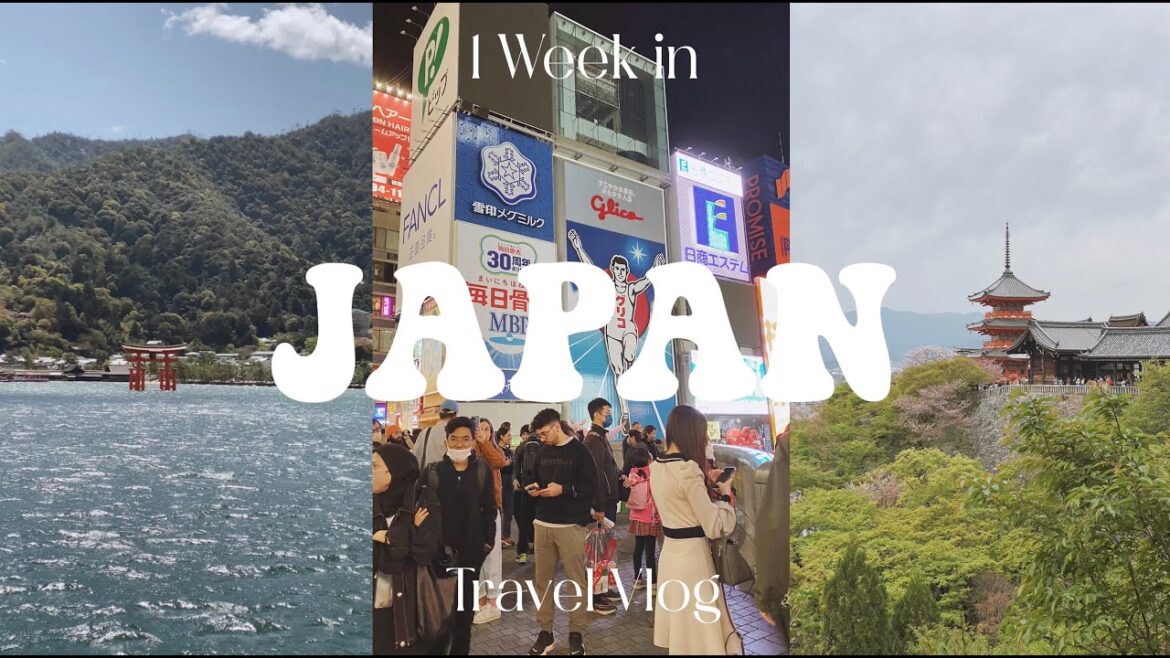 Travel Vlog | Osaka, Wakayama, Kyoto and Hiroshima | 7 Days in Japan Travel Vlog | Osaka, Wakayama, Kyoto and Hiroshima | 7 Days in Japan