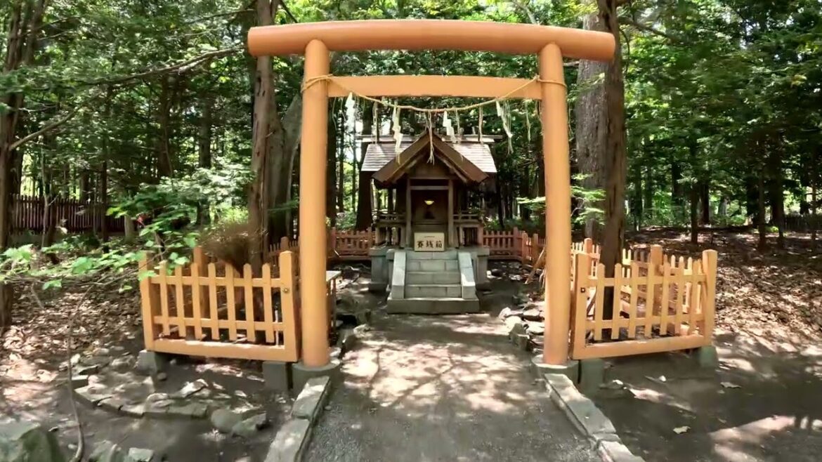 Maruyama Park - Walking Vlog [Sapporo, Hokkaido, Japan]