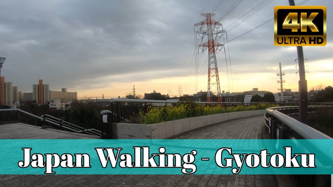 【4K HDR】 Evenig walk in Gyotoku, Chiba, Japan / 夕方の行徳の散策