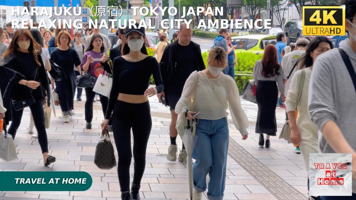 4k hdr japan travel | Walk in Harajuku（原宿）Tokyo japan |  Relaxing Natural City ambience