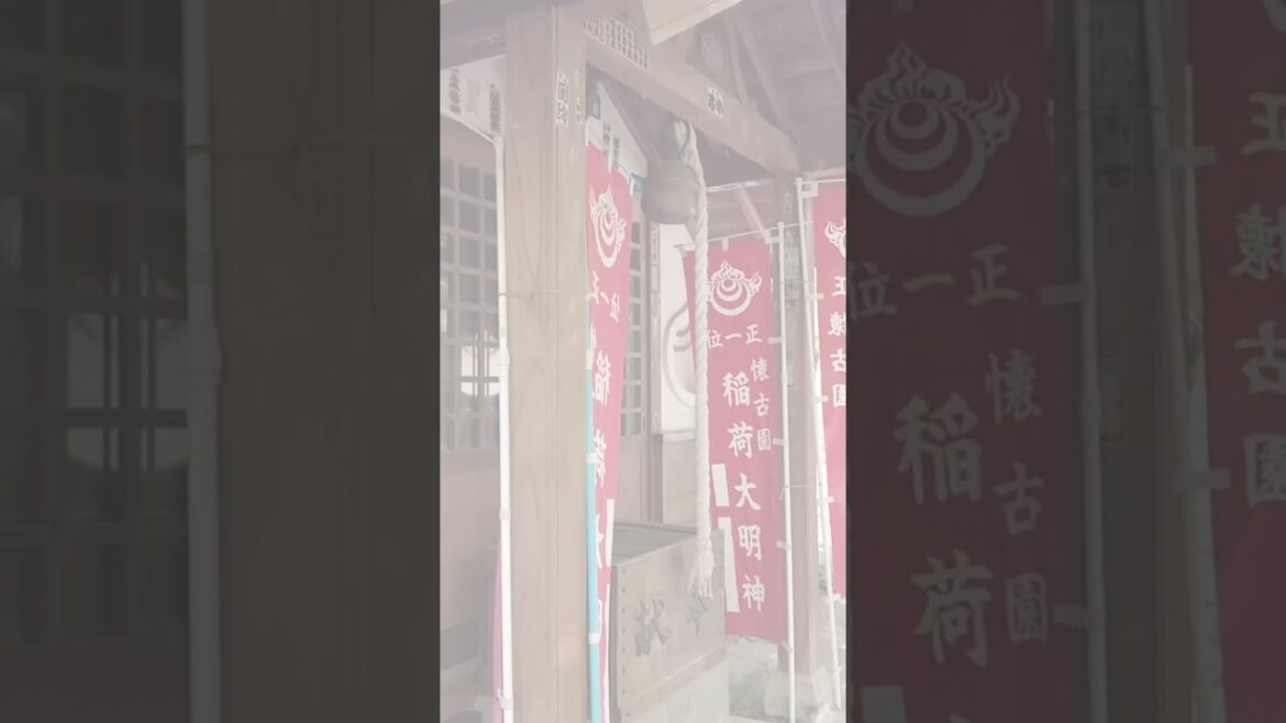 #長野県 #パワースポット #小諸市 KAIKOINARI Shrine& zoo#shorts