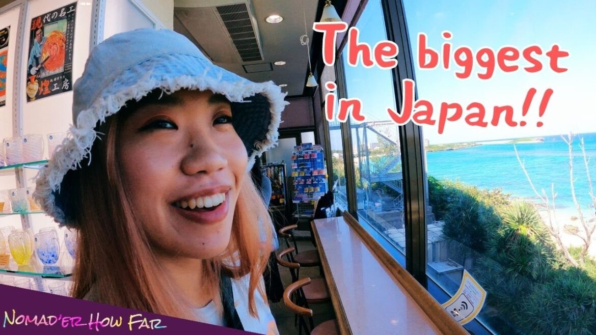 We are mesmerised by Churaumi Aquarium in Okinawa 🐟