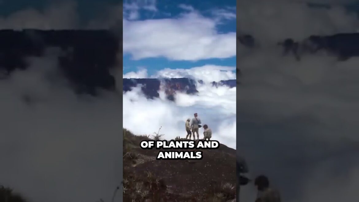 Unbelievable! You Won't Believe the Strange Places We Found... #shorts