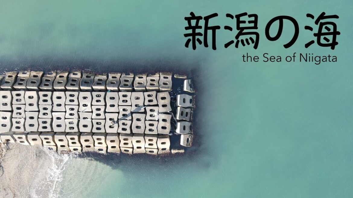 【新潟空撮】Breakwater in Niigata Aerial 上から撮影した新潟の防波堤 【新潟空撮】Breakwater in Niigata Aerial 上から撮影した新潟の防波堤