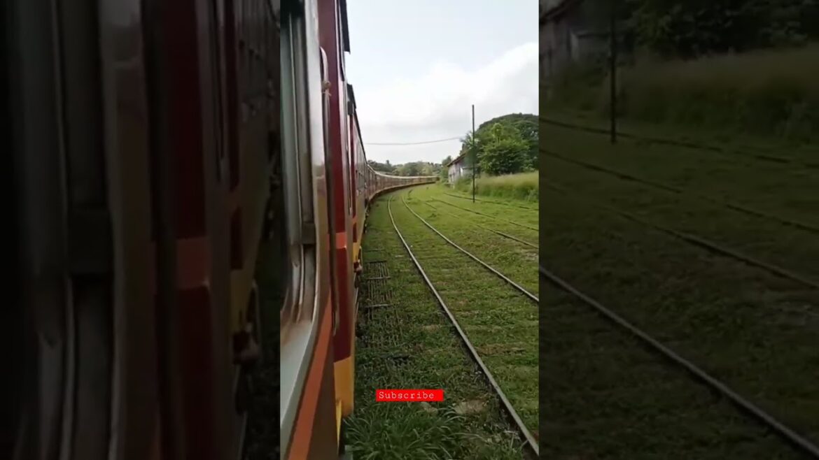 #shorts 🔥 sri lanka travelling places in anuradhapure 😍💕#youtubeshorts #short #shorts 🔥 sri lanka travelling places in anuradhapure 😍💕#youtubeshorts #short