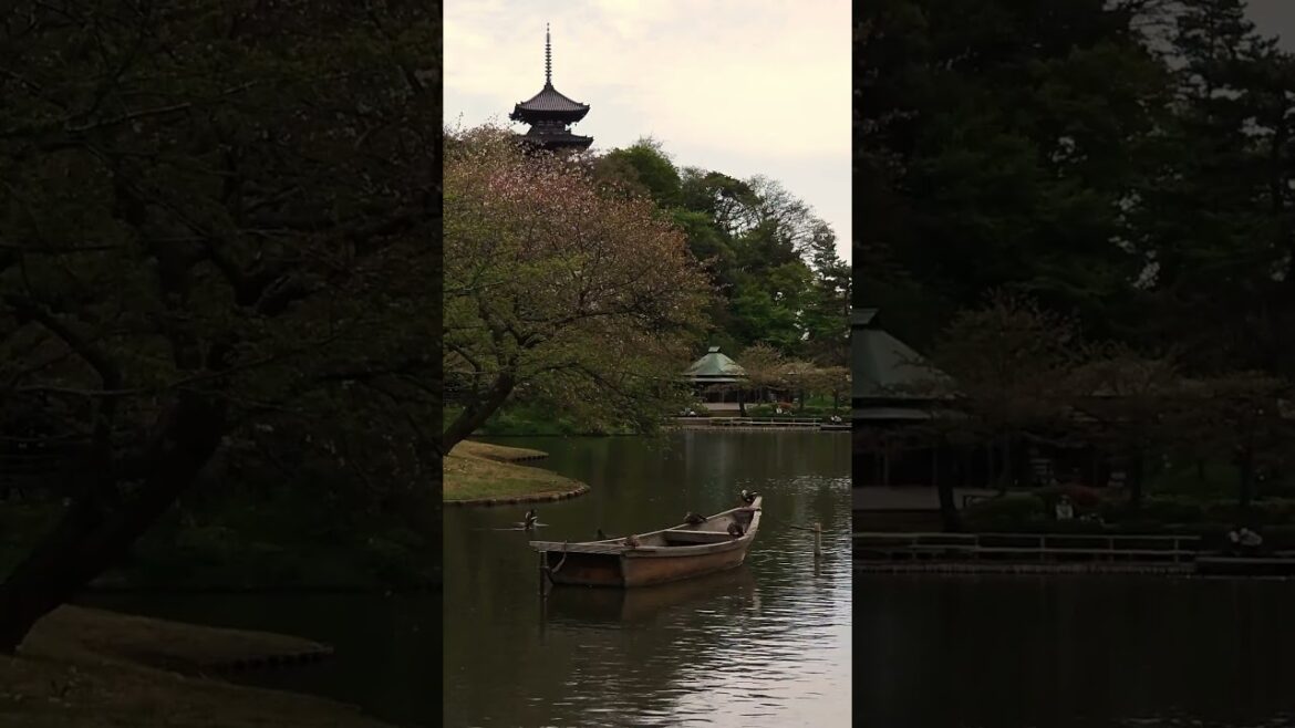 三渓園 Sankei-en Garden #yokohama #japan #shorts
