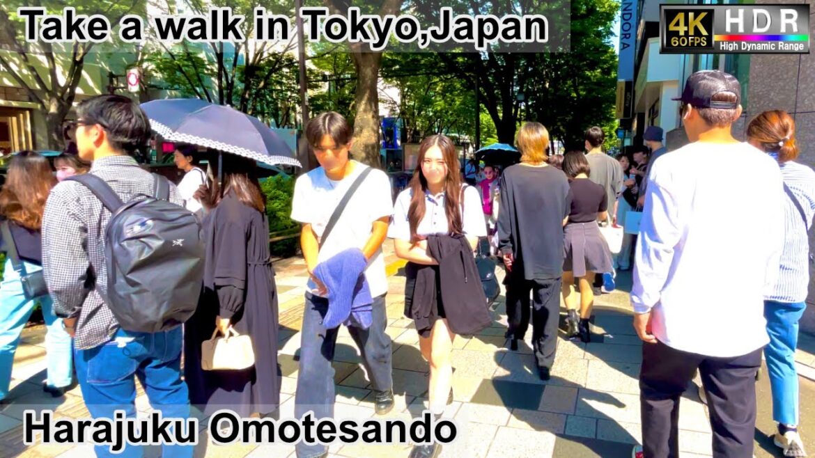4K 60fps HDR// Take a walk in Tokyo, Japan, Meiji Jingu Intersection→Harajuku Cat Street→ meiji dori