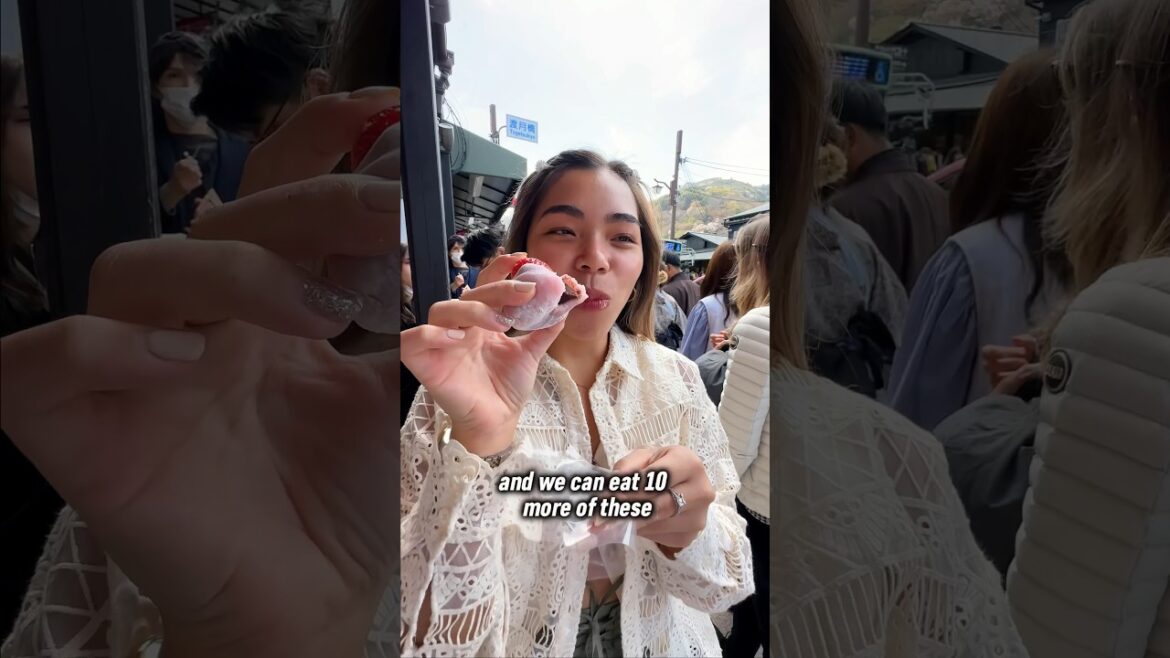 Eating EVERYTHING we see in Arashiyama Kyoto Japan