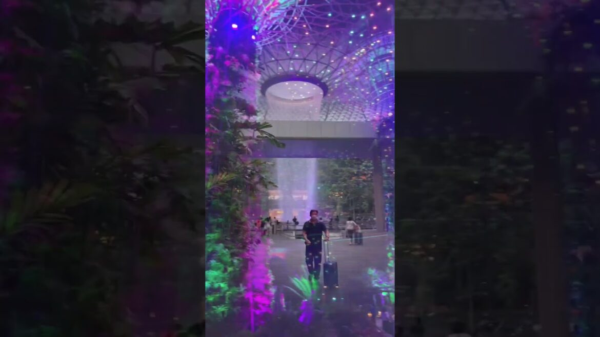 LOVE♡Singapore  #shorts