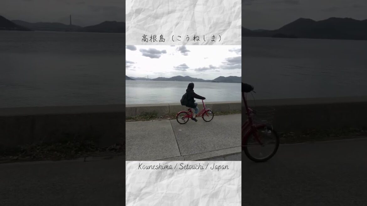 高根島（こうねしま）in Hiroshima,Setouchi #Shorts