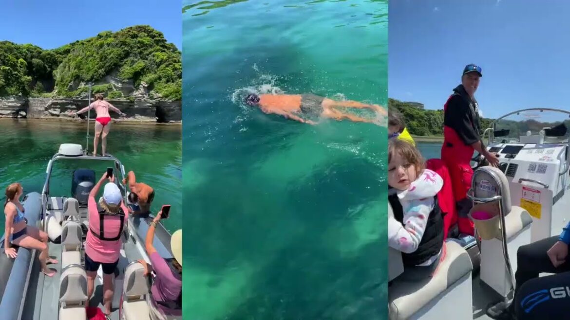 Seafari japan Full Charter in Chiba