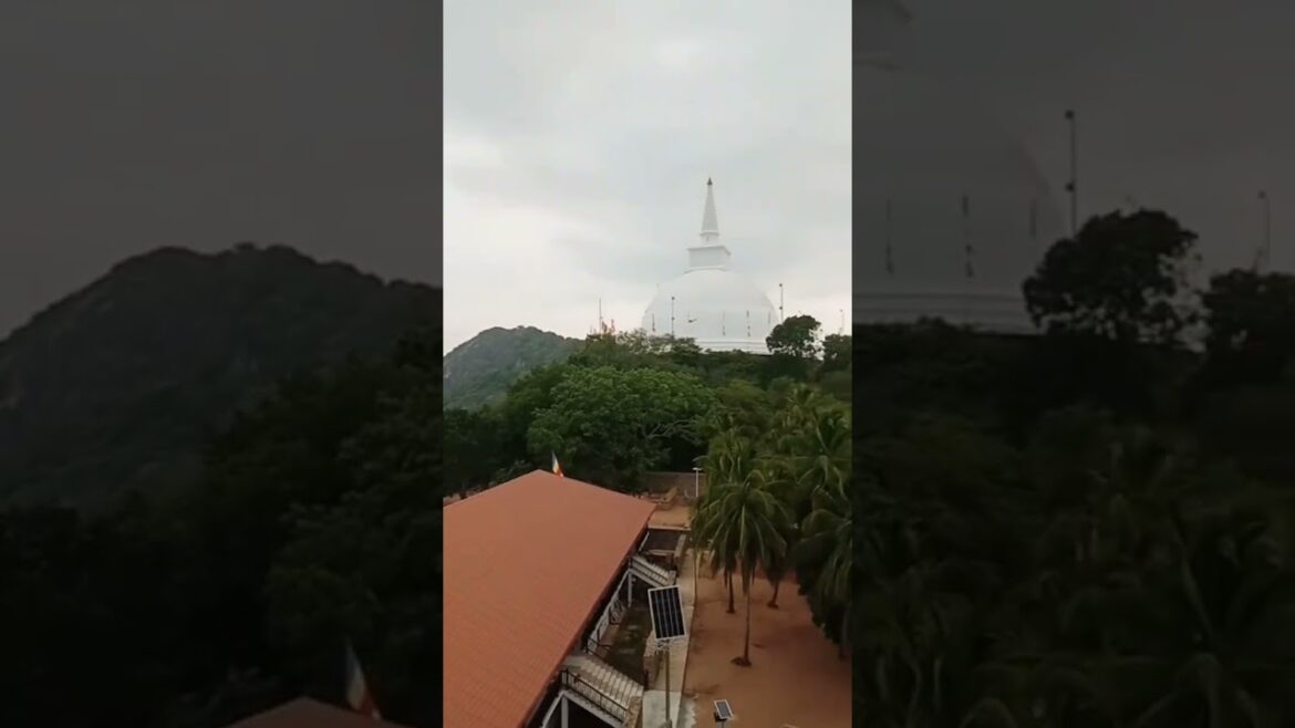 The place where Buddhism was brought to Sri Lanka from India 😍🙄. Mihintale sri lanka #shorts The place where Buddhism was brought to Sri Lanka from India 😍🙄. Mihintale sri lanka #shorts