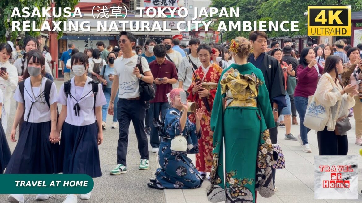 4k hdr japan travel | Walk in Asakusa（浅草）Tokyo japan |  Relaxing Natural City ambience