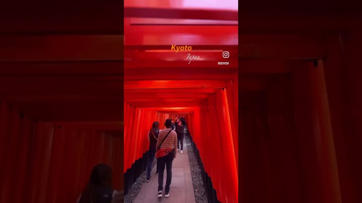 "Unlock the Secrets of Kyoto: A Journey to the Most Beautiful Places! 🌸🍃✨" #Kyoto #Japan #Travel"