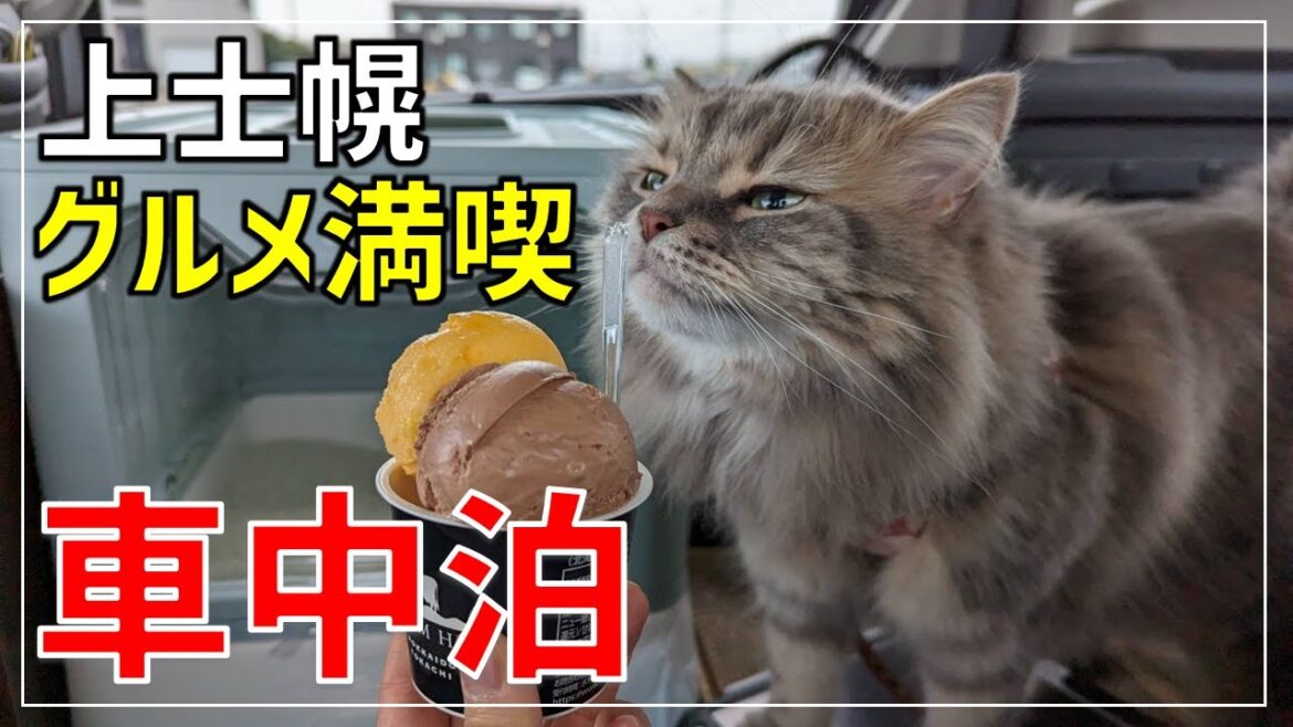 【春の十勝ドライブ】道の駅で車中泊！上士幌の絶品スイーツ＆グルメを楽しみつくす！【Part1】