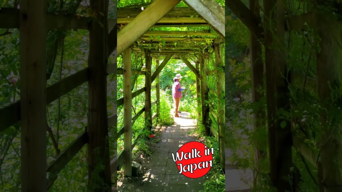 Tunnel of Roses! 🌹 Unique Garden in Japan #shorts