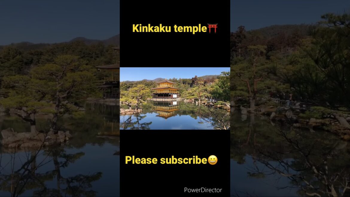 【KYOTO 】Kinkaku temple #kyoto #shorts #japan #travel #walking #pleasesubscribe #shrine #trip