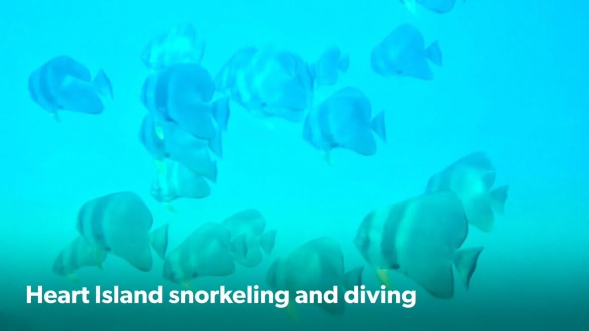 黒島 Okinawa Snorkeling