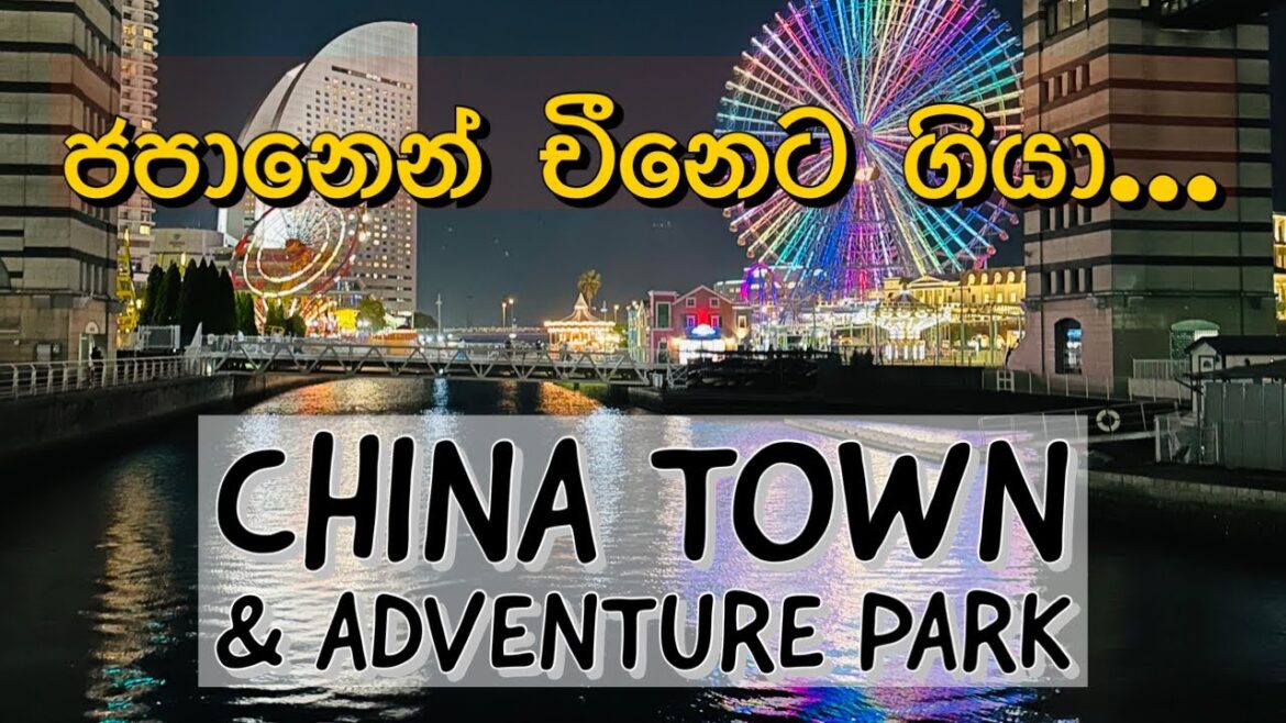අපි ජපානෙන් චීනෙට ගියා🇨🇳|Roller Coaster|Ghost|Chines Foods🍝#japantravel #sinhala #life #viral