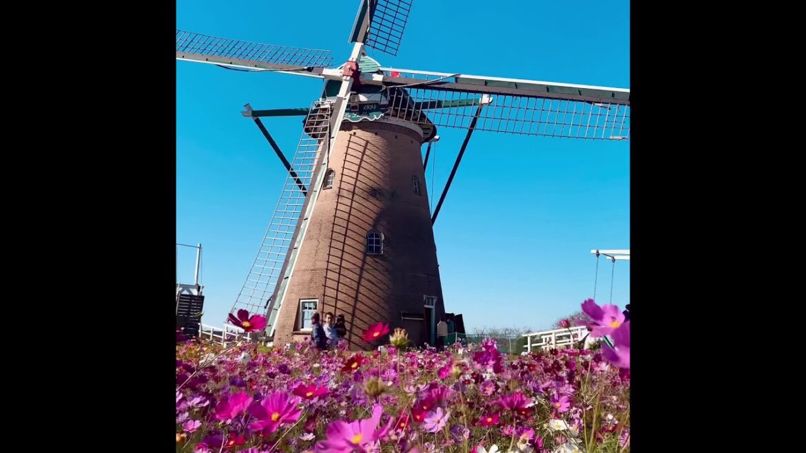 Dutch Windmill in Chiba Japan