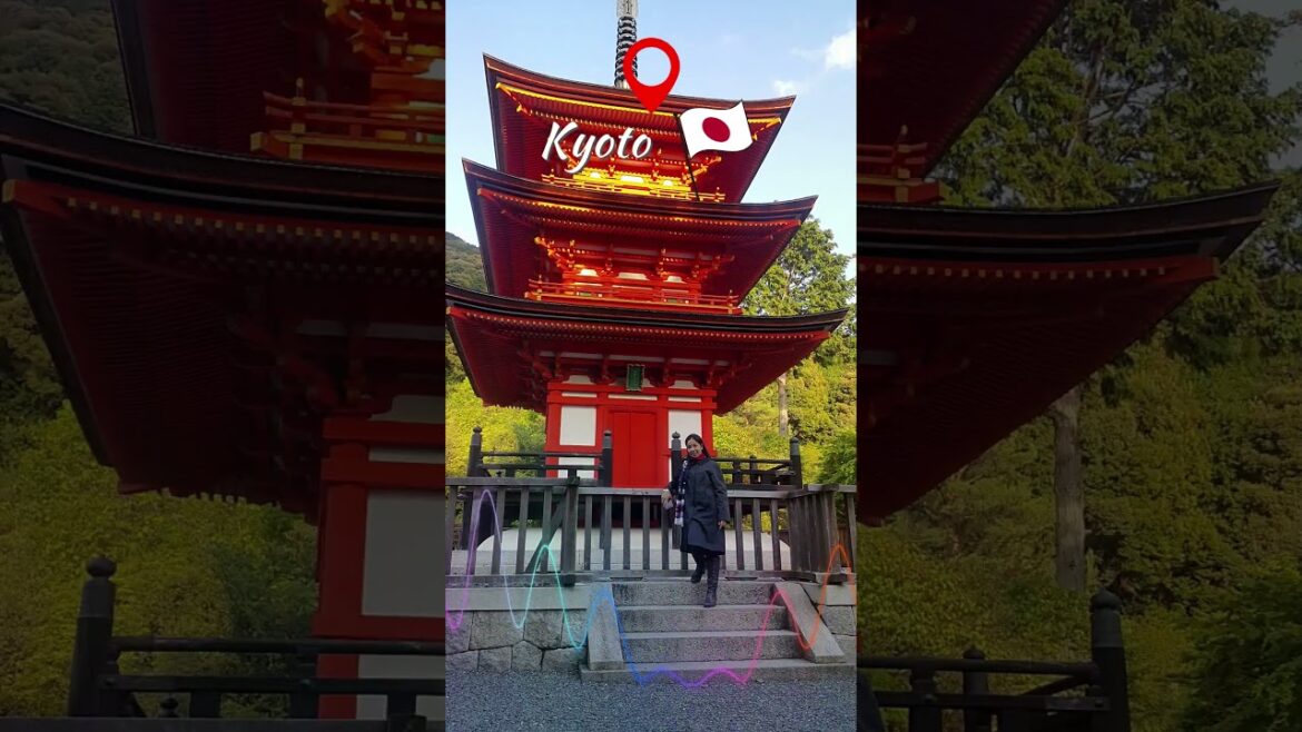 FADED TABATA MIX | KYOTO #shorts