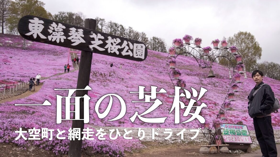 大空町と網走市で春の風景に出会う旅|北海道ひとりドライブ 大空町と網走市で春の風景に出会う旅|北海道ひとりドライブ
