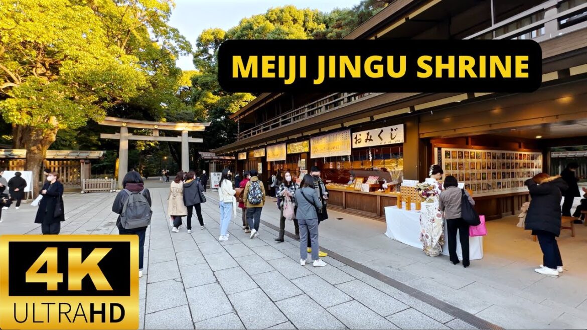 TOKYO, JAPAN 🇯🇵 [4K] MEIJI JINGU SHRINE — Walking Tour