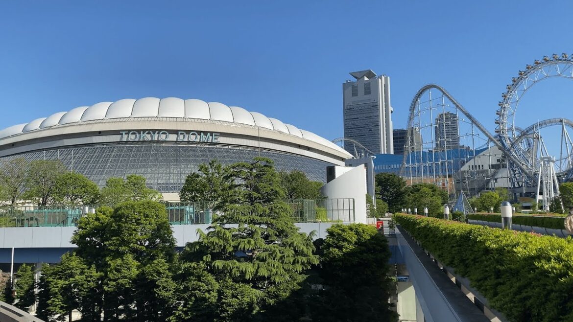 Japan Travel Vlog 2023 π΄ | Tokyo Dome City Hotel πΌ| Ashikaga Flower Park | Female Solo Travel πΈ Japan Travel Vlog 2023 π΄ | Tokyo Dome City Hotel πΌ| Ashikaga Flower Park | Female Solo Travel πΈ