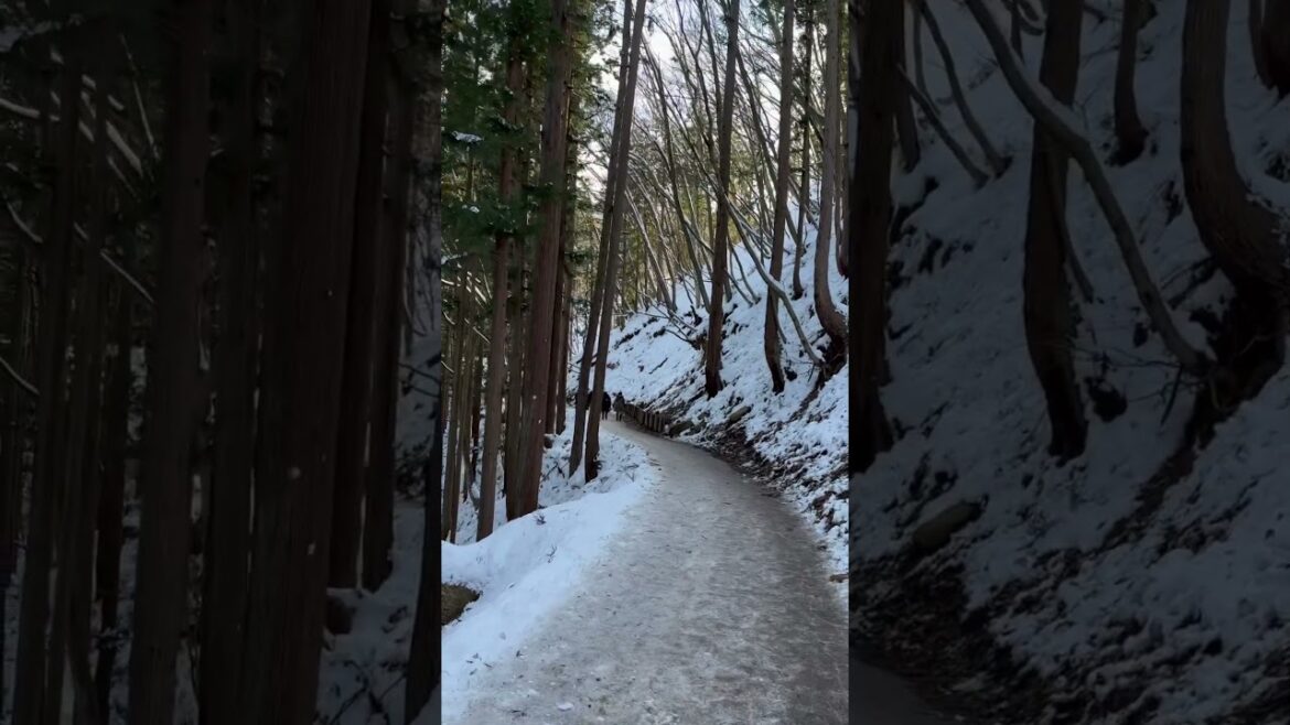 Ice hills at snow monkey #nature #naturelovers #ytshorts #shorts #couplegoals #japan #tsukuba