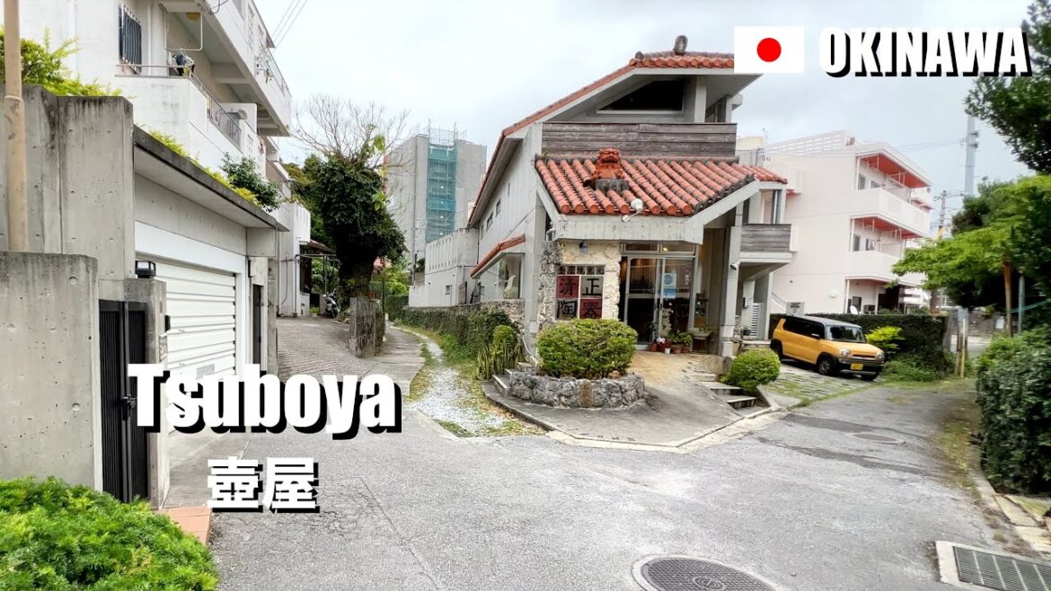 A maze of residential streets in Tsuboya, Okinawa, Japan | 4K Walking A maze of residential streets in Tsuboya, Okinawa, Japan | 4K Walking
