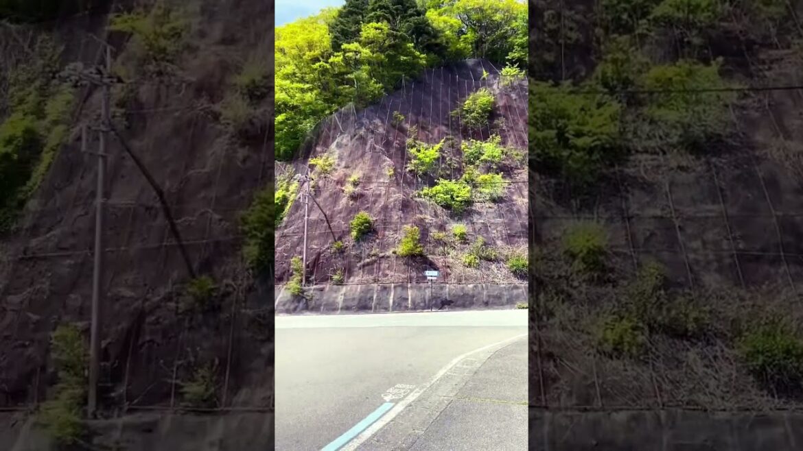 本栖湖　千円側